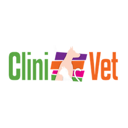 Cliente 3